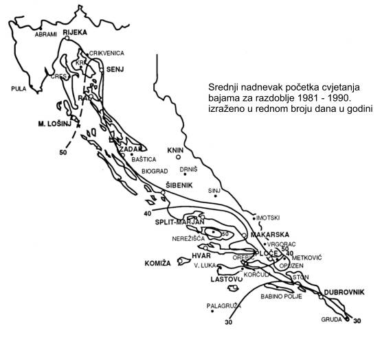 Nadnevci pocetka cvjetanja bajama